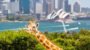 10 Best Zoos In The World The Discoverer In 2020 Singapore Zoo Zoo Different Types Of Animals