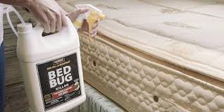 Bed bugs like hot weather, often thriving and becoming more active in heat than they do in cold. 8 Best Bed Bug Sprays Effective Bed Bug Killers