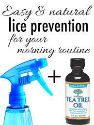 Disney Com The Official Home For All Things Disney Natural Lice Prevention Lice Prevention Tea Tree Oil