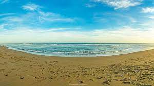 Maybe you would like to learn more about one of these? Pantai Jatimalang Htm Rute Foto Ulasan Pengunjung