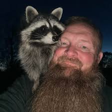 What are the best areas in the Carolinas for shark tooth hunting?