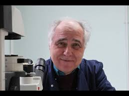 Scientist Stories: Adrian Veres, Engineering Therapeutics