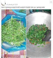 Anda akan mendapati plantain muncul di rumput anda, taman anda, walaupun dalam retak di kaki lima! Rasa Rumput Kruk Kruk Katanya Boleh Dimakan Ada Yang Facebook