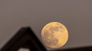 We did not find results for: Calendario Lunar Las Fases De La Luna En Junio 2021