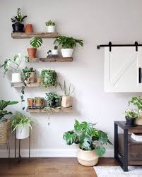Mr Cacti On Instagram Repost From The Golden Home Page Housep Small Balcony Decor Terrace Decor House Plants Decor