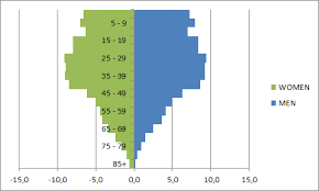 Population Pyramid Excel Exercise