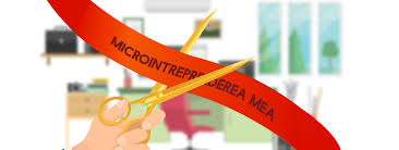 De exemplu, sa zicem ca lucrezi 2 zile/sapt pentru o agentie si alte 2 zile/sapt pentru alta. Infiintare Microintreprindere Pas Cu Pas