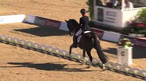 Pin On Horses Dressage