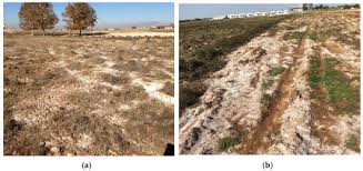 Faceţi clic pe dolari americani sau lei moldoveneşti pentru a converti intre aceasta si toate celelalte monede. Land Free Full Text Determination Of Farmers Willingness To Pay For Sustainable Agricultural Land Use In The Gap Harran Plain Of Turkey Html