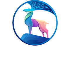 The Rise Of Somali Wasmo Telegram Groups: Connecting Communities Online