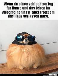 wenn du einen schlechten tag fur haare und das leben im lustige bilder spruche witze echt lustig lustige bilder lustig schlechter tag