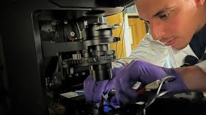 Online Materials Engineering Master's Degree