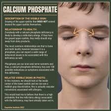 Amy Marble, Meet the Marbles