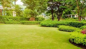 Tlc lawn care offers a variety of different plans to keep your lawn looking healthy all year long. Tlc Landscaping And Lawn Services Endicott Vestal Ny Landscaper Landscaping Services