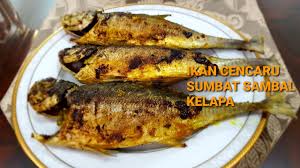This stuffed fish recipe was created after i tried few nice stuffed fish from my friend and my friend's. Resepi Ikan Cencaru Sumbat Kelapa Cencaru Bakar Belah Belakang Youtube