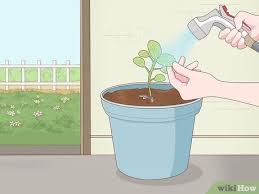 We did not find results for: 3 Simple Ways To Use Roundup Wikihow