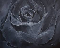 Acrylic Black And White Flower Painting Original Artwork By Vicci Lee Black Roses Black And White Flower Flower Detail Floral Art Botanical Art Black And White Artwork Flower Prints Art Painting