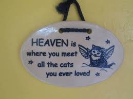Heaven Is The Place Where You Meet All The Cats You Ever Loved Yup Crazy Cats Cats And Kittens Cats Meow