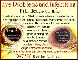 Cockatiel Eye Problem Chart Eyes Problems Eye Infections