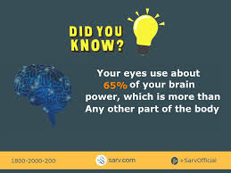 Did You Know Human Eyes Uses 65 Of Brain Power Human Humanbrain Didyouknow Didyouknowfacts Facts Brai Did You Know Facts Brain Power Brain Activities