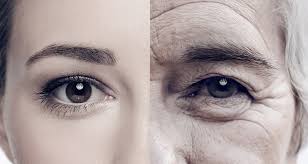 Image result for skin aging