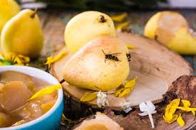 Find deals on products in pest control on amazon. The Best Tips For Dealing With Wasps For All Gardeners And Garden Owners Best Garden Home And Diy Tips