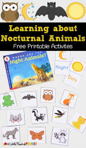 Nocturnal animals are those that are awake at night and asleep during the day, so your little ones may really connect with these nighttime creatures. Learning About Nocturnal Animals Free Printable Activities