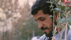 Lektionen in Finsternis