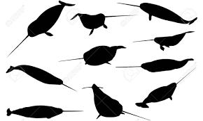 Narwhal Silhouette Vector Illustration Royalty Free Cliparts Vectors And Stock Illustration Image 81693348 Here you can explore hq narwhal transparent illustrations, icons and clipart with filter setting like size, type, color etc. narwhal silhouette vector illustration