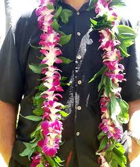 It is used for cooking as well as lei making. Men S Maile Style Ti Leaf And Orchid Lei Aloha Hawaiian Flowers