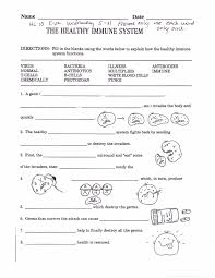 29 Cells Of The Immune System Student Worksheet Answer Key Worksheet Project List