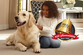 Dream weaver leads the carpet industry in providing warm, beautiful carpet for homes at affordable prices. About Bell Carpet Floors Serving Wichita Since 1929 Wichita Ks Bell Carpet Floors
