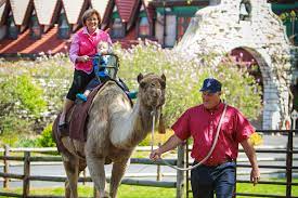 The deal requires a city judge to back four of the busch heirs to release the land from a trust. Grants Farm Camel Ride Explore St Louis