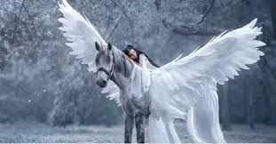 Grisa zaits esti una pe pamant. 5 Semne Care Te Vor Convinge Ca Nu Esti La Prima Existenta Pe Pamant