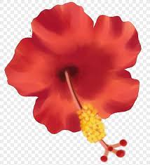 Istilah bunga raya apa artinya? Bunga Merah Kecil Kartun Gambar Unduh Gratis Imej 400205266 Format Psd My Lovepik Com