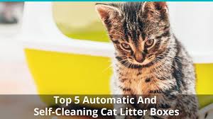 This strong clumping cat litter grabs and eliminates odor with its formula of activated carbon. Best Automatic Cat Litter Box Reviews Of Self Cleaning Litter Boxes 2021