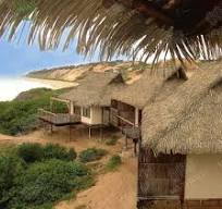 Gazebo Artificial Palm Leaves Thatch Synthetic Thatch - The ...
