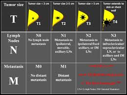 Breast Cancer Staging