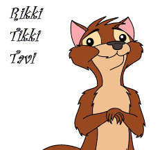 Image result for rikki tikki tavi