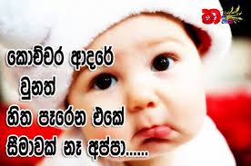 Check spelling or type a new query. Lassana Mal Shefalitayal