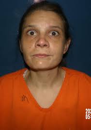 Man accused of trying to run over WV officer released from hospital, jailed 