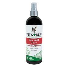 Pin On Cat Repellent And Training
