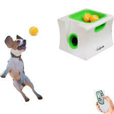 Automatic dog ball launchers made to fit smaller balls may represent a choking hazard for your sizeable furry pal. Kitchen Dining Idogmate Automatic Ball Launcher Dog Toy Ball Thrower For Small Dog Small Machine With 3 Balls Amazon Com
