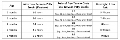 How To Potty Train Your Puppy Instinct Dog Behavior Training