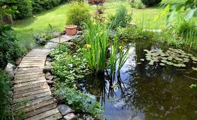 Teichfolie Locher Finden Und Abkleben Gartenteich Bepflanzen Gartenteich Teichpflanzen