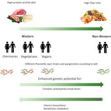 Quantitative traits refer to phenotypes (characteristics) that vary in degree and can be attributed to polygenic effects, that is, product of however, quantitative traits may also show differences where demographic separation is weak. Distinct Genetic And Functional Traits Of Human Intestinal Prevotella Copri Strains Are Associated With Different Habitual Diets Sciencedirect