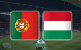 To be in the euro's should be an overwhelming occasion for hungary but to play in such a group with three former euro hungary vs portugal betting tips. Portugal Vs Hungary Preview Predictions And Betting Tips