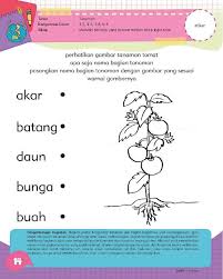 Contoh soal anak tk kecil ruang belajar siswa kelas 8. Download Latihan Soal Anak Tk Tema Tanaman Guru Paud