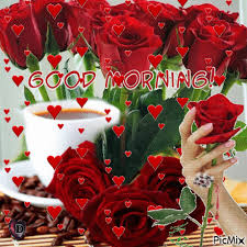 There are more than 100 kinds of roses. Good Morning Words