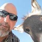 Swivel knife recommendation?